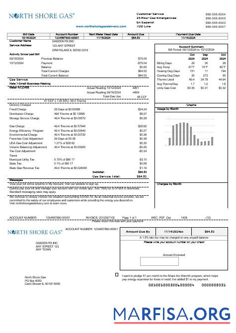 Printable USA Illinois North Shore Gas business utility bill template in Word and PDF formats
